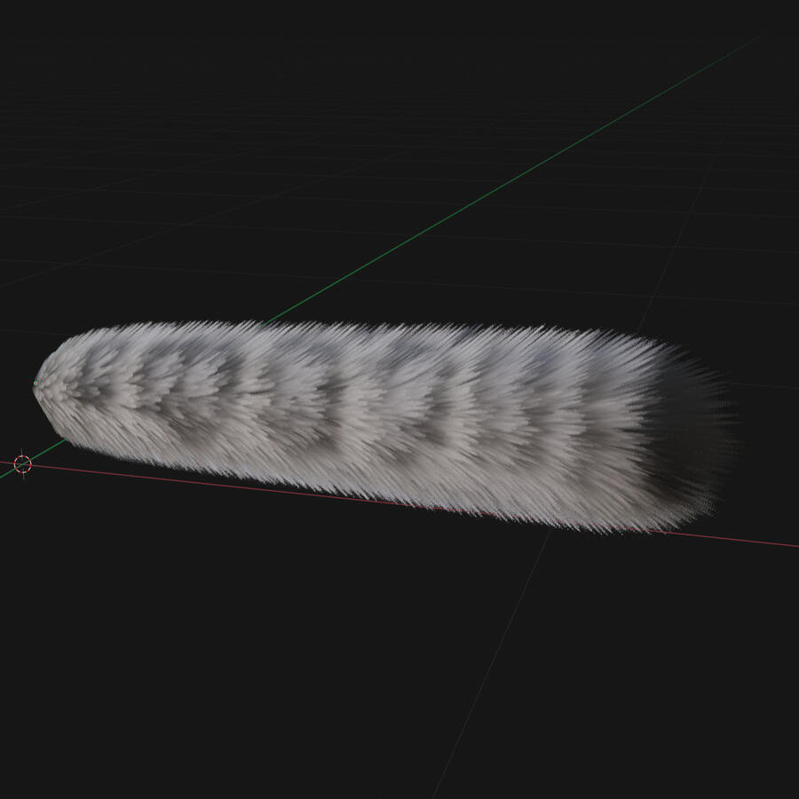 Leopard tail